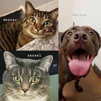 Photo of crewmember's pets