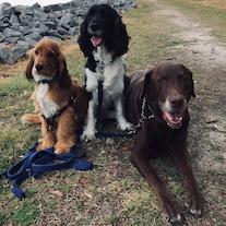 Photo of crewmember's pets