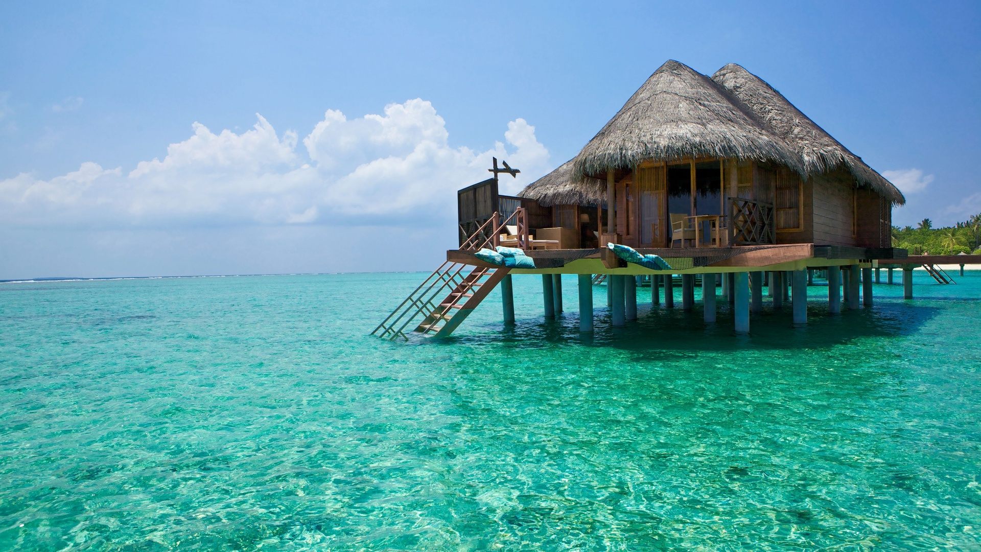 thatched roof house on the water